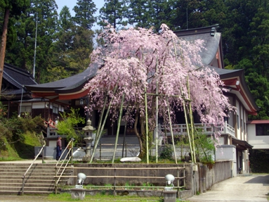 安居寺 参道コンクリート工事